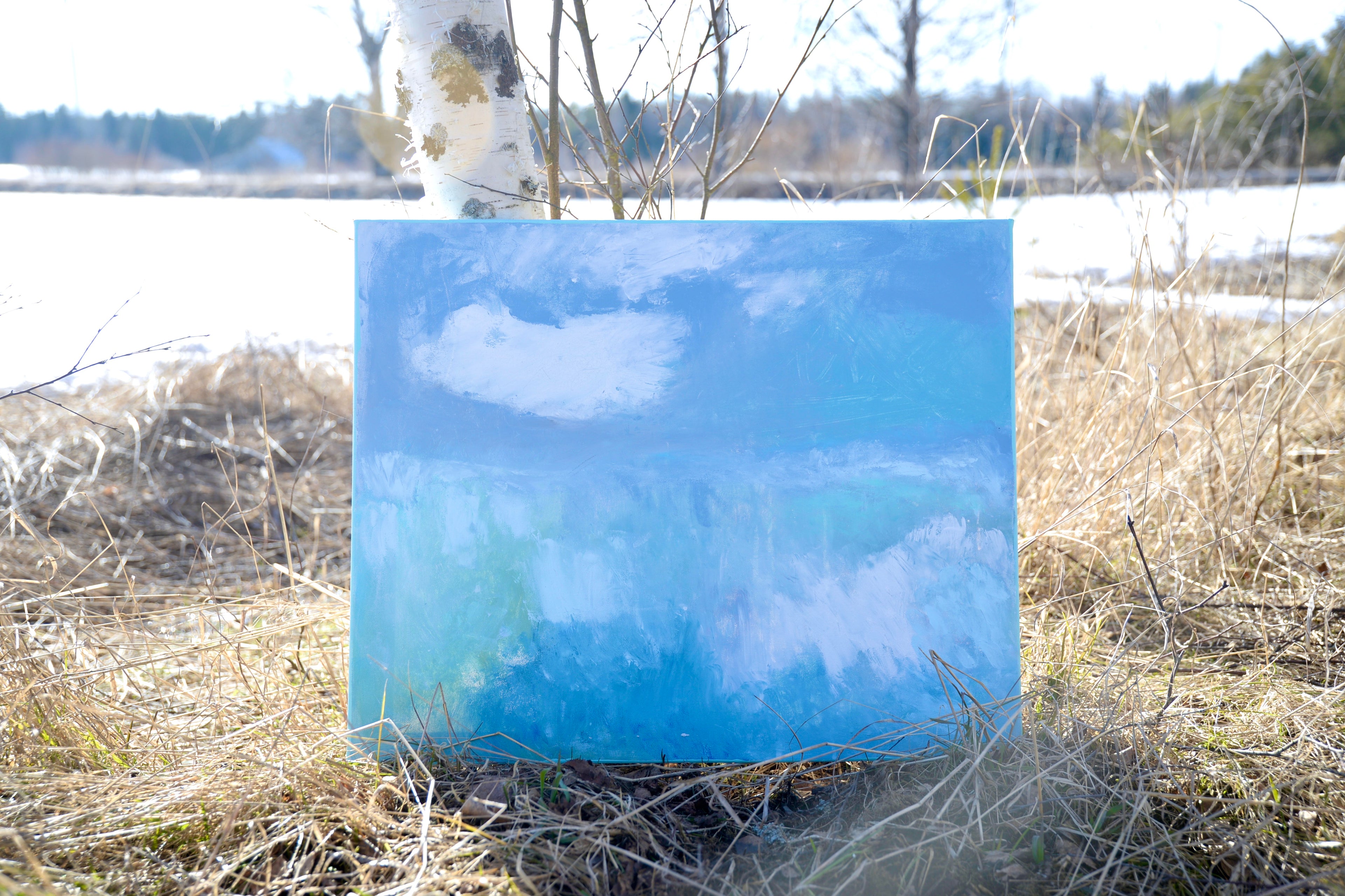 61 cm x 50 cm image 1