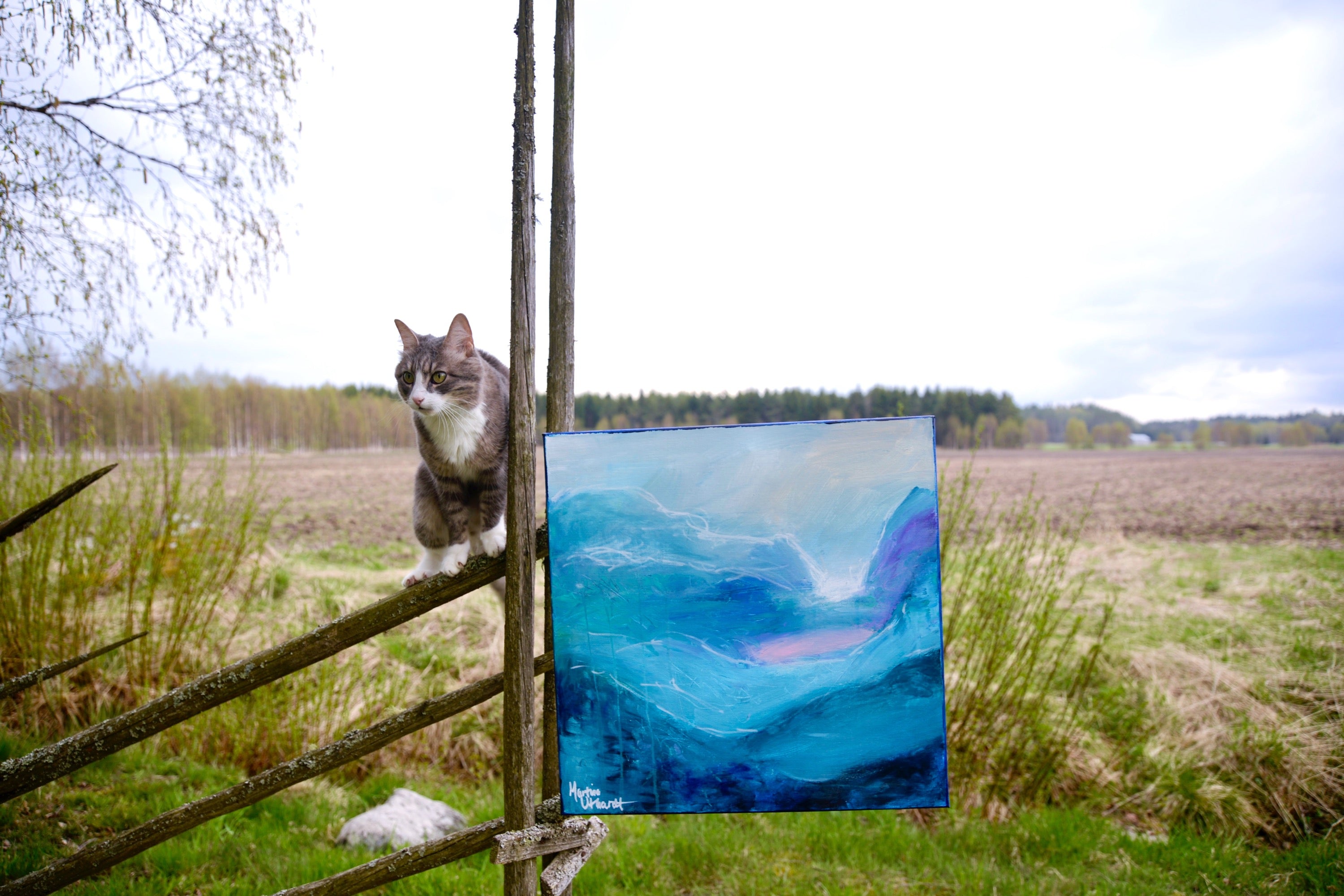 50 cm x 50cm image 0