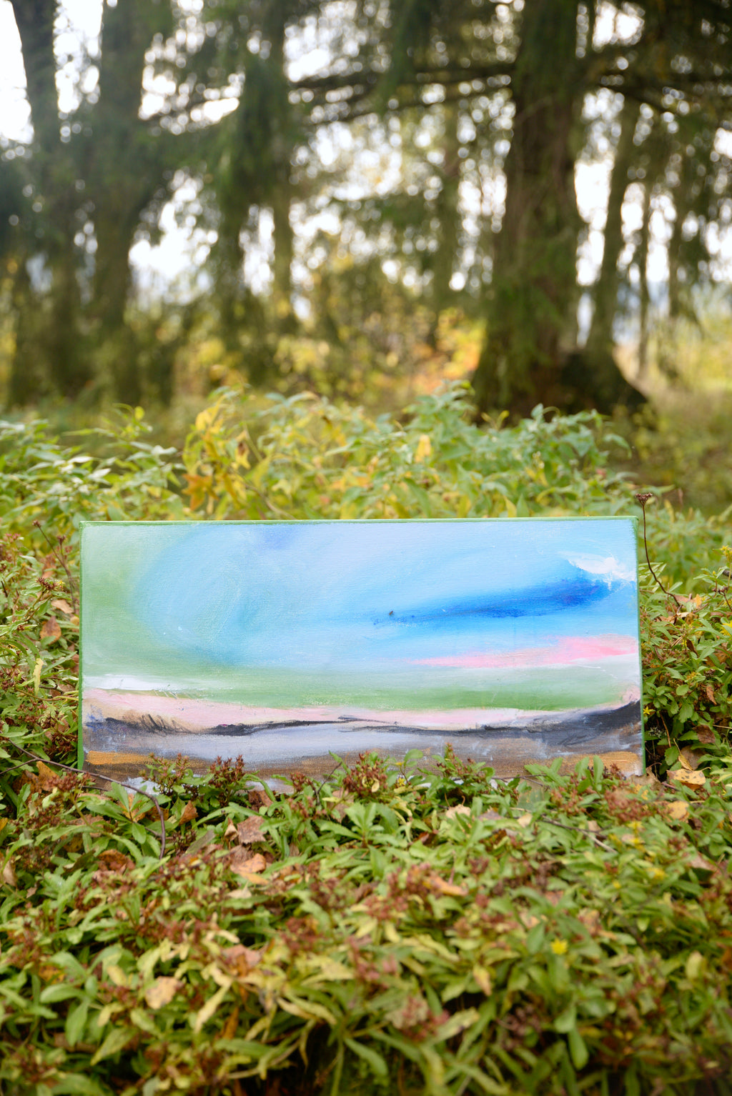 30 cm x 60 cm image 1