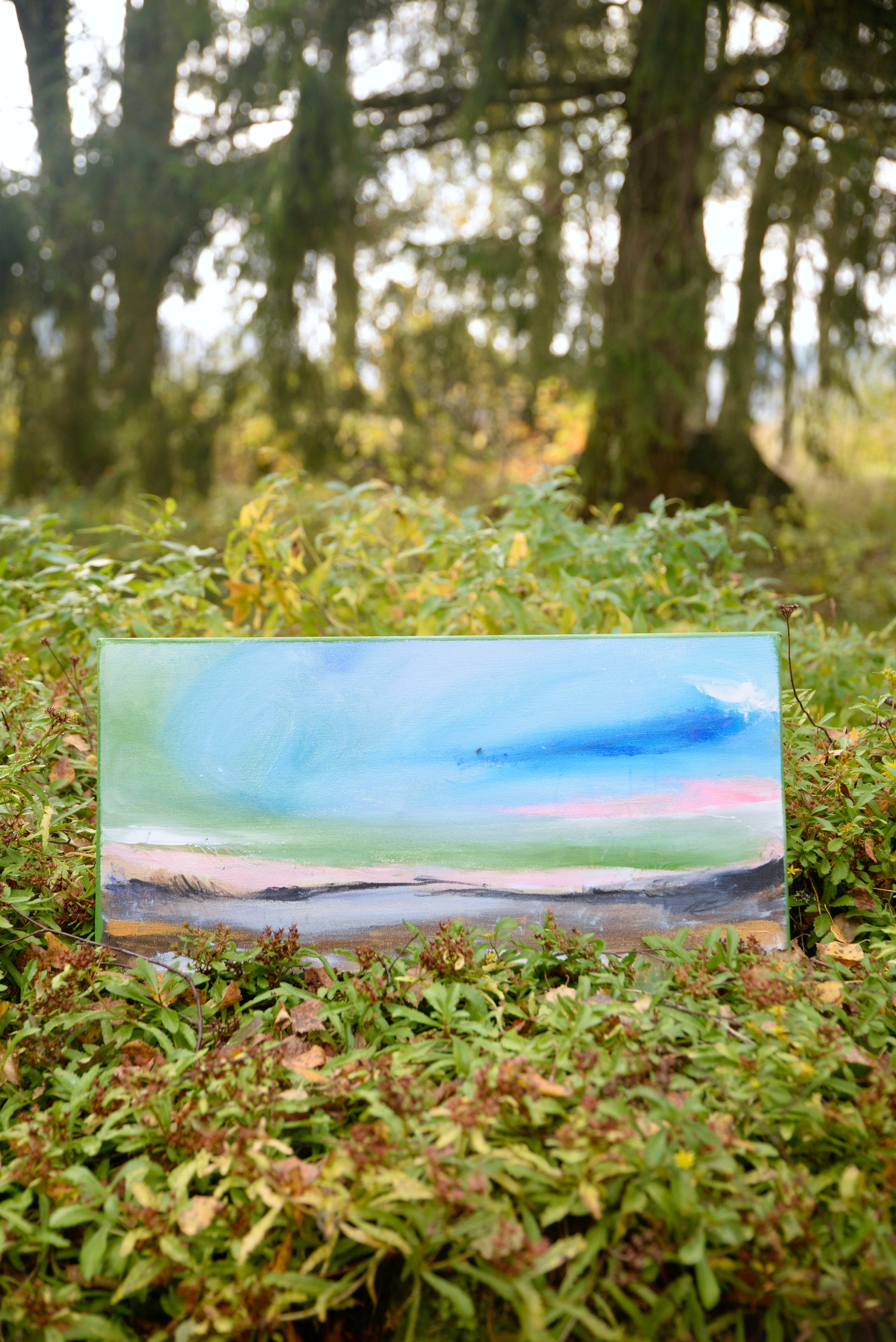 30 cm x 60 cm image 1