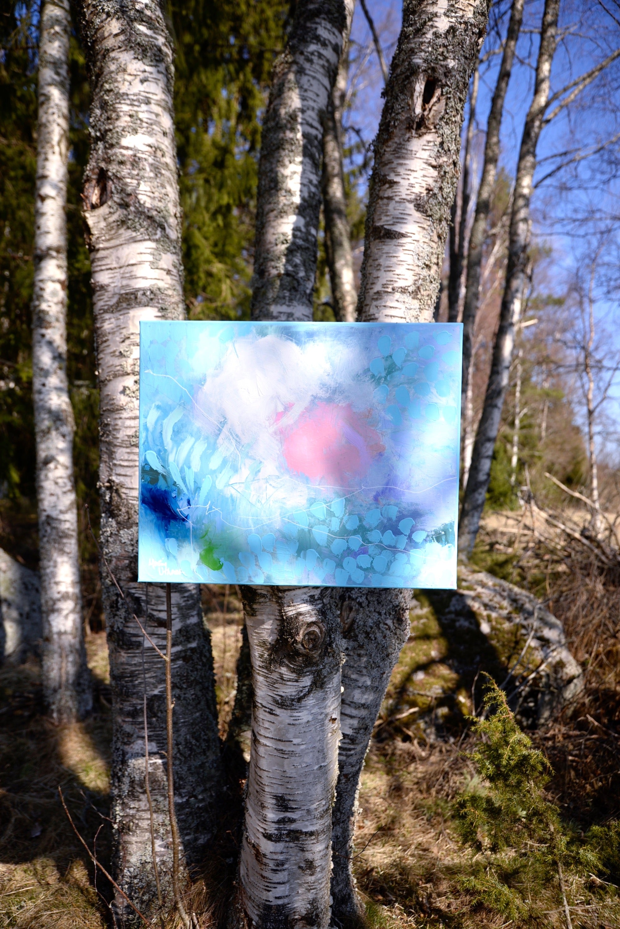 61 cm x 50 cm image 1