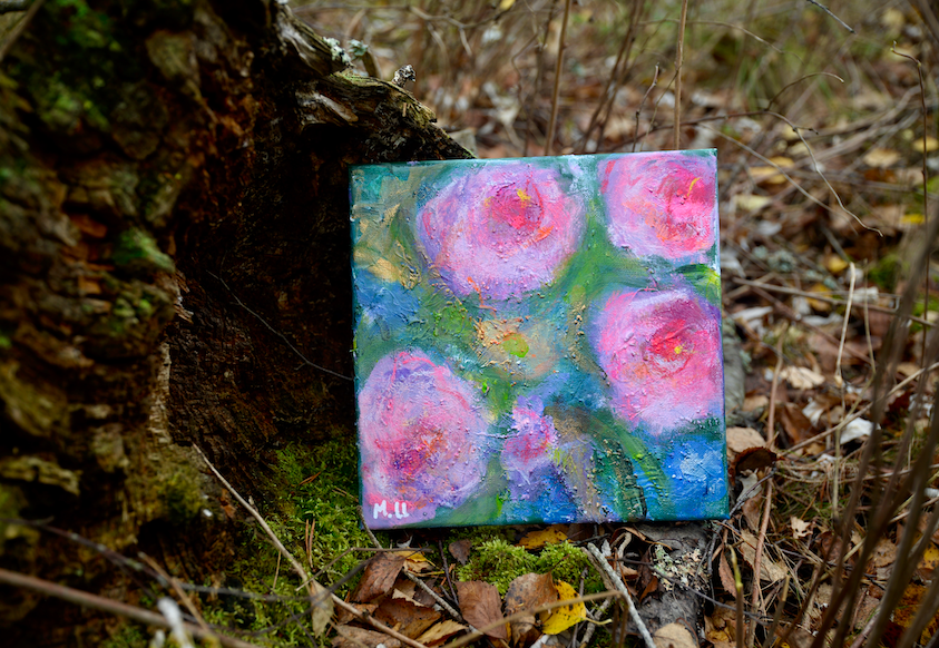 Rose Wonder