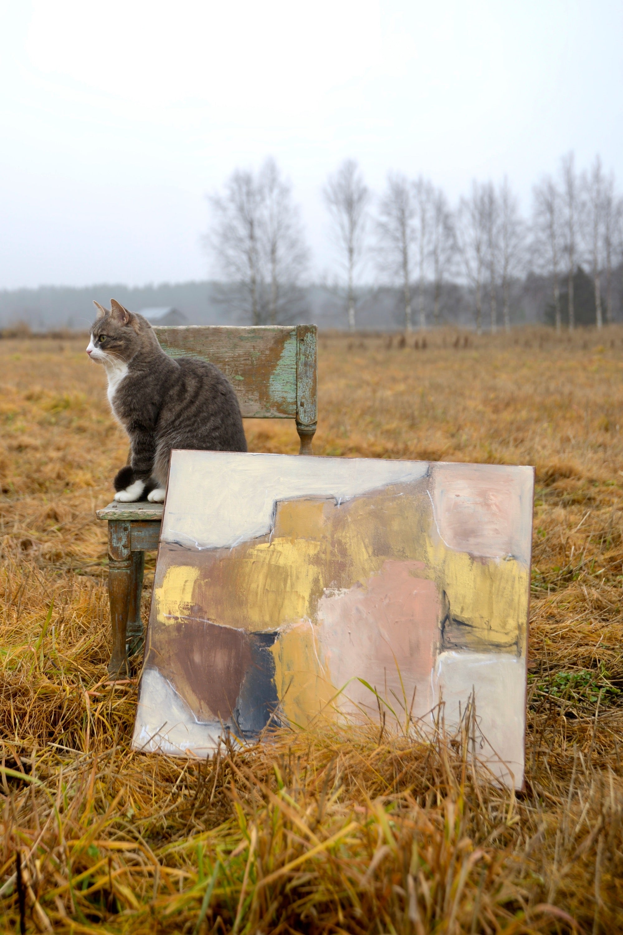 61 cm x 50 cm image 0