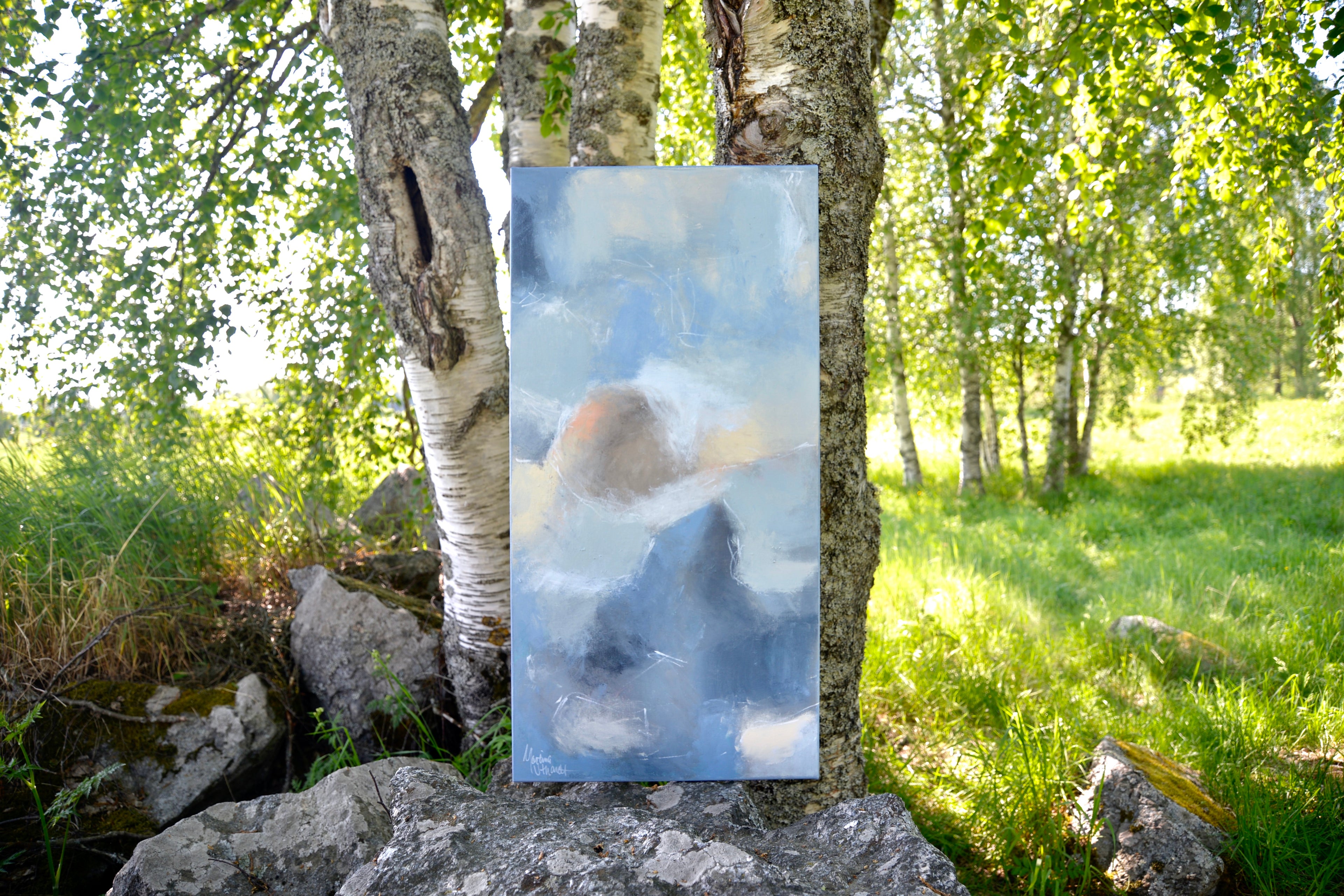 100 cm x 50 cm image 0